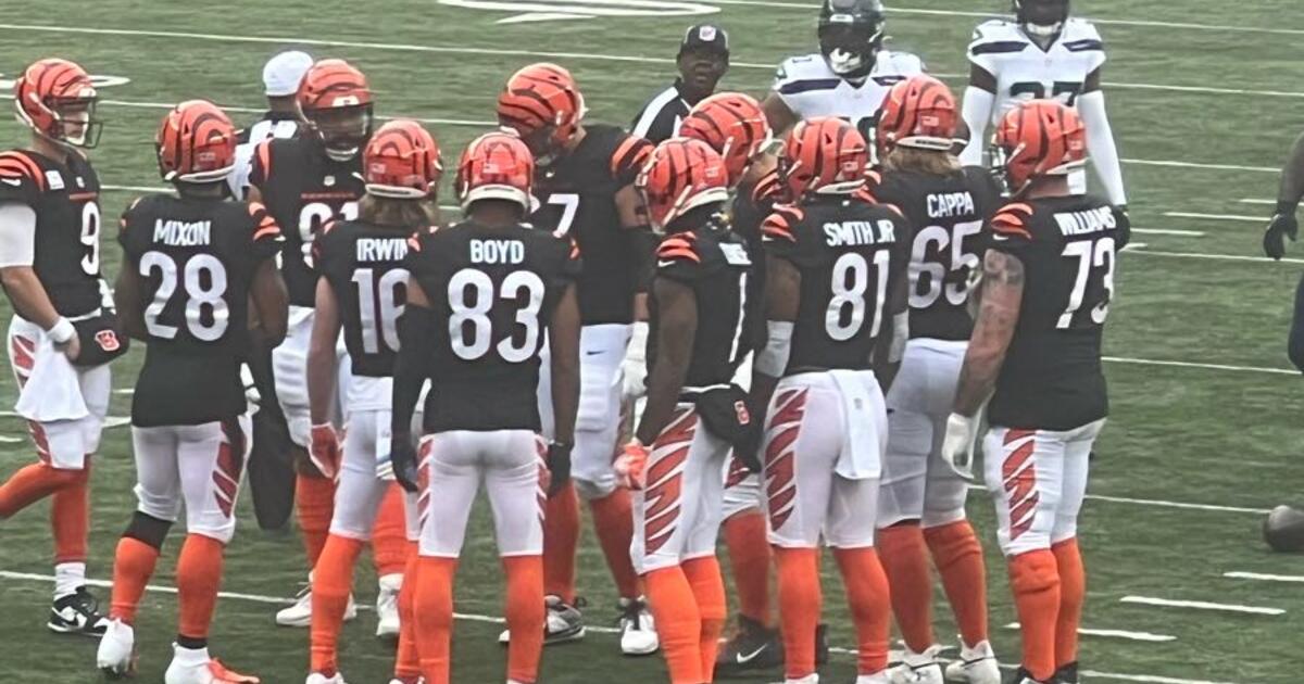 Bengals vs Browns Ticket for 150 in Trotwood, OH For Sale & Free