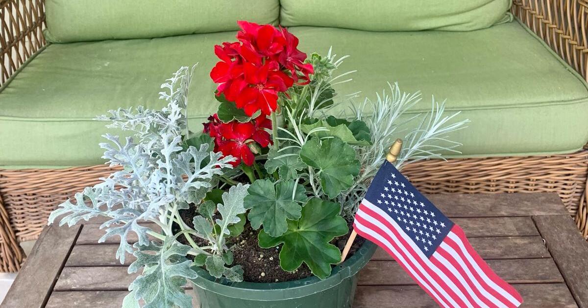 Pre memorial Day Weekend Flowering Plant Sale Friday From 9 To 1 For pre-memorial-day-weekend-flowering-plant-sale-friday-from-9-to-1-for