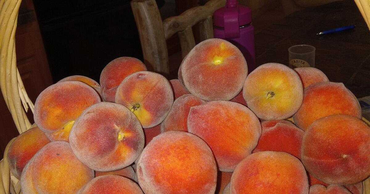 Home grown peaches for 3 in Phoenix, AZ Finds — Nextdoor