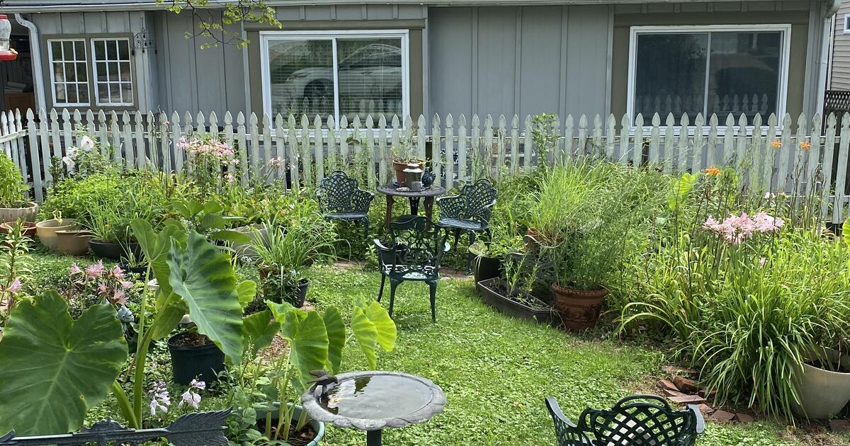 House for Rent Des Peres for 2500 in St. Louis, MO For Sale & Free