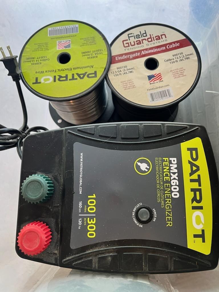 8 week old Kittens for Free in Elmira, NY For Sale & Free — Nextdoor