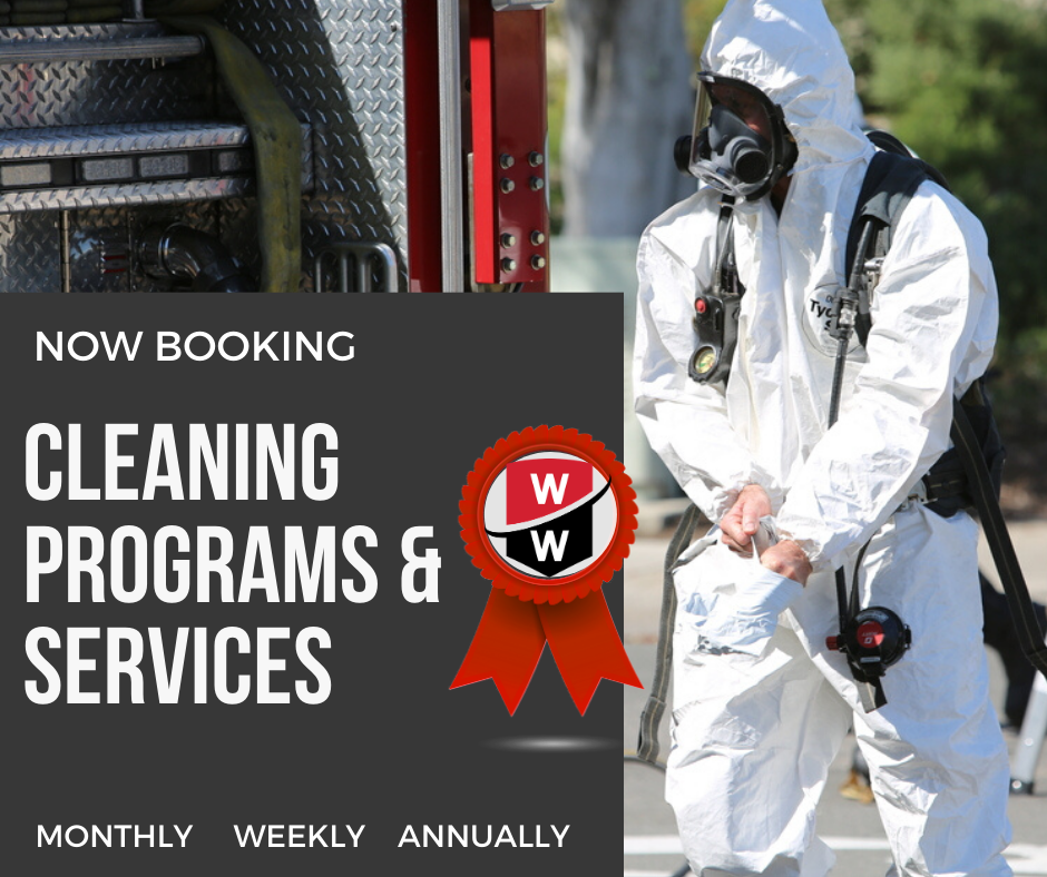 Mold Removal  WrightWay Emergency Services