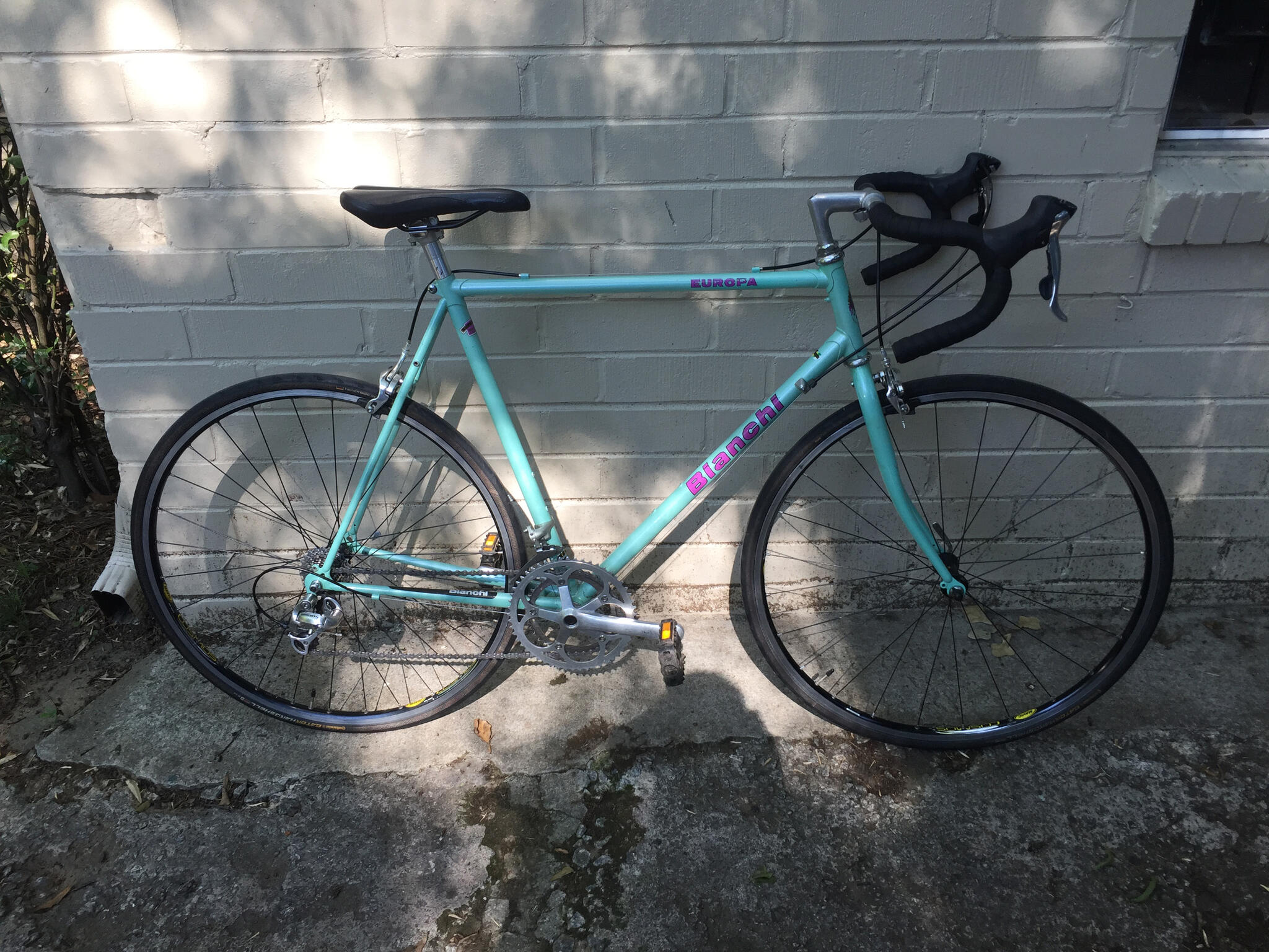 bianchi europa road bike