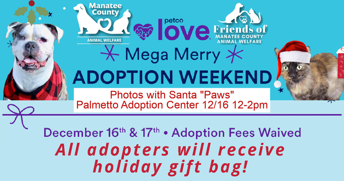 The Petco Mega Merry Adoption Weekend is still happening today and