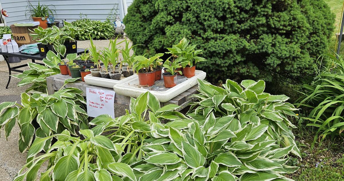 Garage SALE Atwater in Tallmadge, OH For Sale & Free — Nextdoor