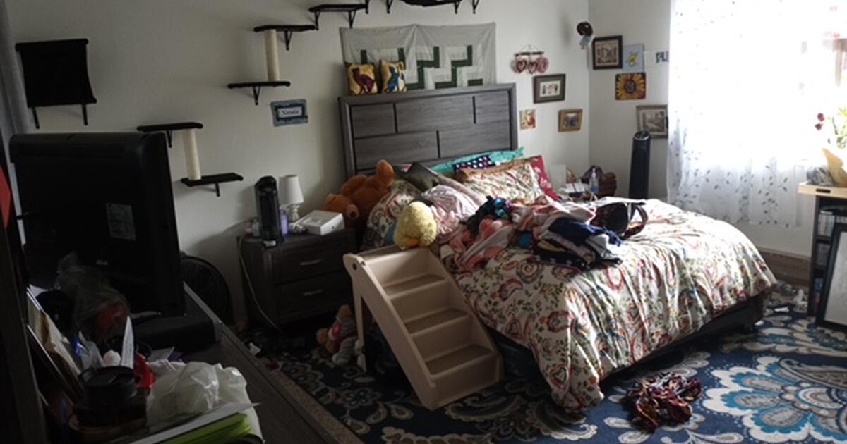 SUNNY MASTER BEDRM FOR RENT 1 mile from SSU, 1 block from SmartTrain