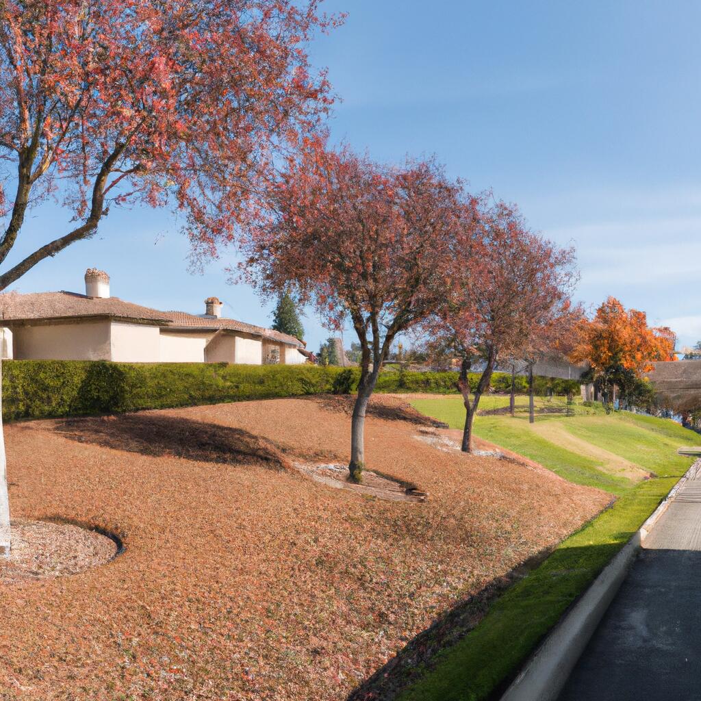 Dana Estates, Concord News, Crime, Lost Pets, Free Stuff