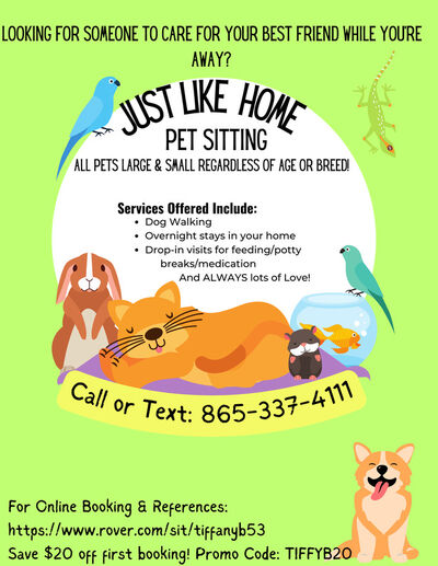 Like home hotsell pet care