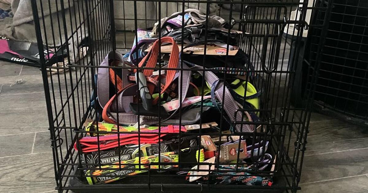Metal Crates And Collars and Leashes for 50 in Austin, TX For Sale & Free — Nextdoor
