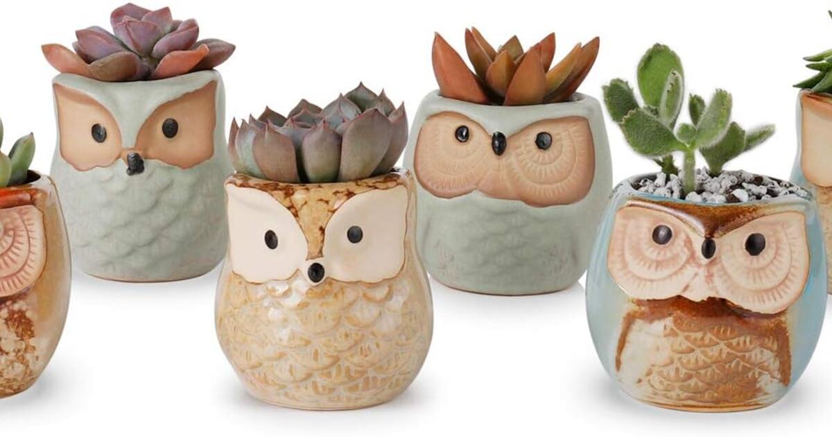 Greenaholics Succulent Plant Pots - 2 Inch Owl, Set Of 6 - Brand New 