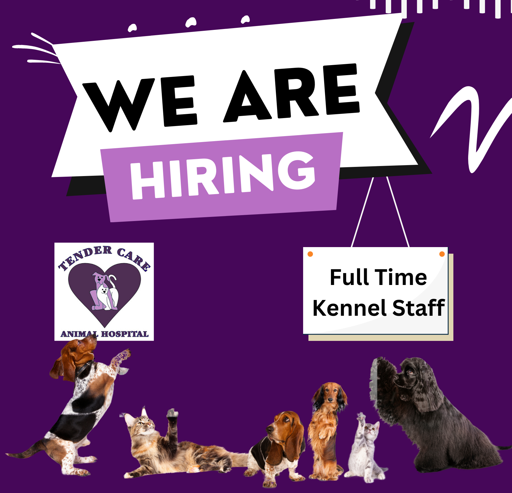 Tender Care Animal Hospital, Veterinarian in Gretna, NE