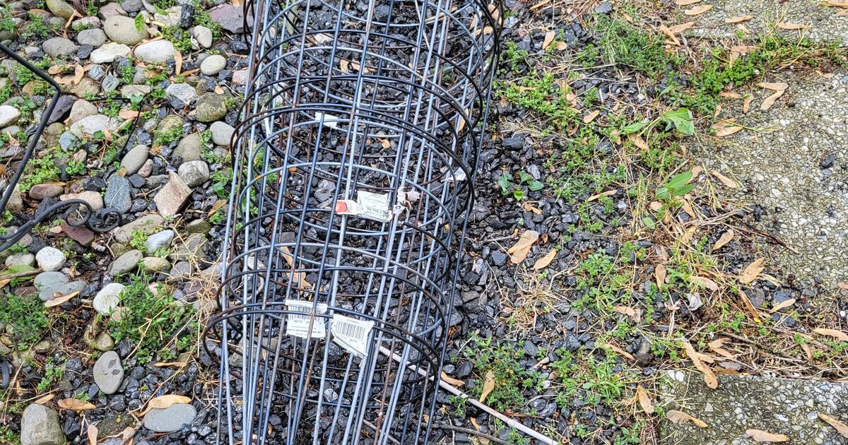 FREE. Various Indoor And Outdoor Planting Items for Free in Allentown