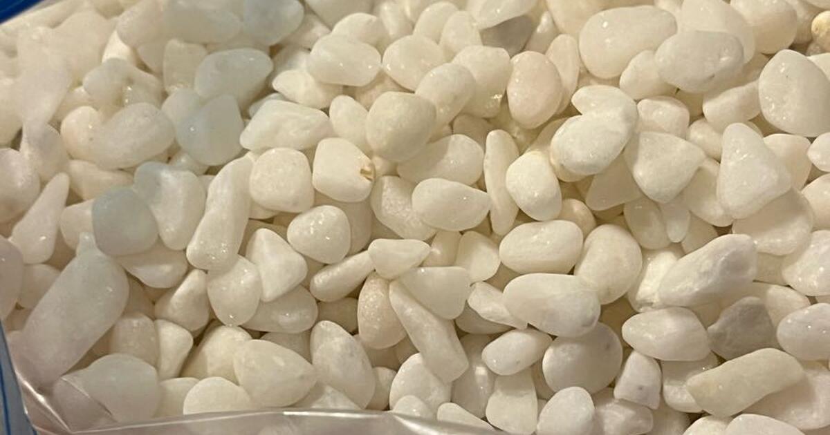 Decorative white pea stone pebbles (7 lbs) for $10 in Chevy Chase, MD ...