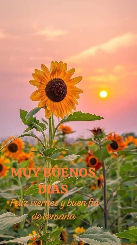 Used Car in Copperas Cove, TX For Sale & Free — Nextdoor