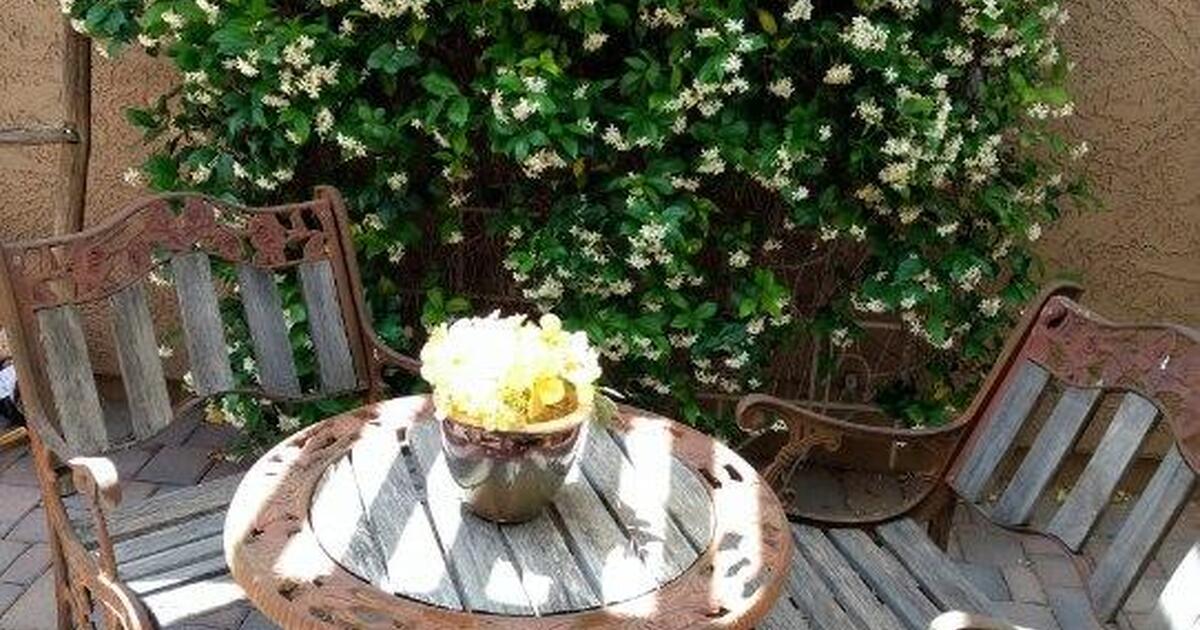 Outdoor table and chairs for 35 in Buckeye, AZ Finds — Nextdoor