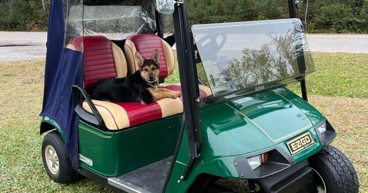 Golf cart for 3500 in Bluffton, SC Finds — Nextdoor