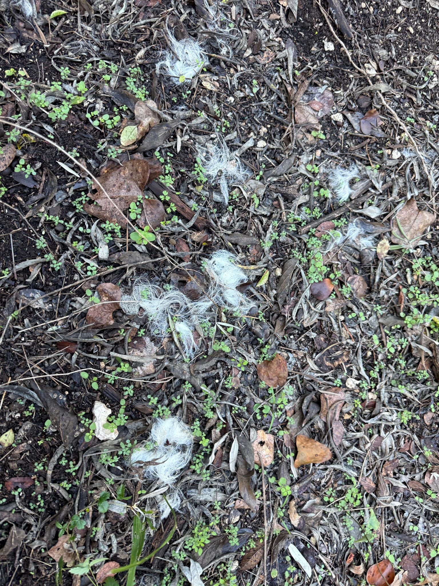 5be9e63dd928a70f3054d94ddf4b2e2f.JPG?req