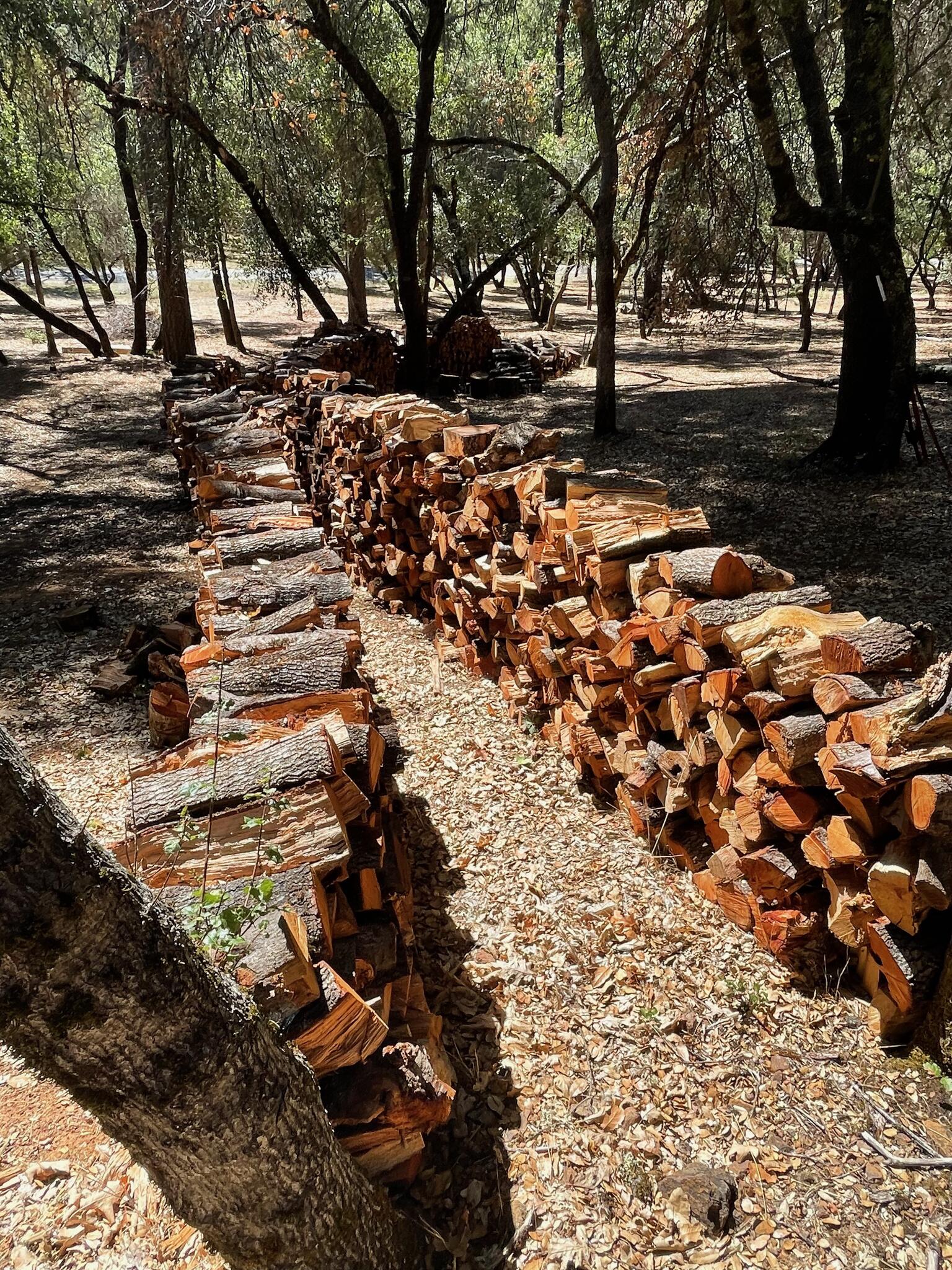 Oak Firewood For Sale. $250.00 a Cord. Cut, Dried, Split u0026 Seasoned Ready  For Pick Up! For $250 In Grass Valley, CA | For Sale u0026 Free — Nextdoor