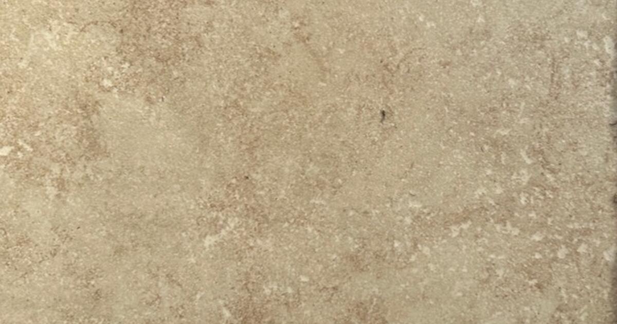 Free Ceramic Tiles 60 Pieces 12x12" (60 sqft) for Free in Novi, MI For Sale & Free — Nextdoor