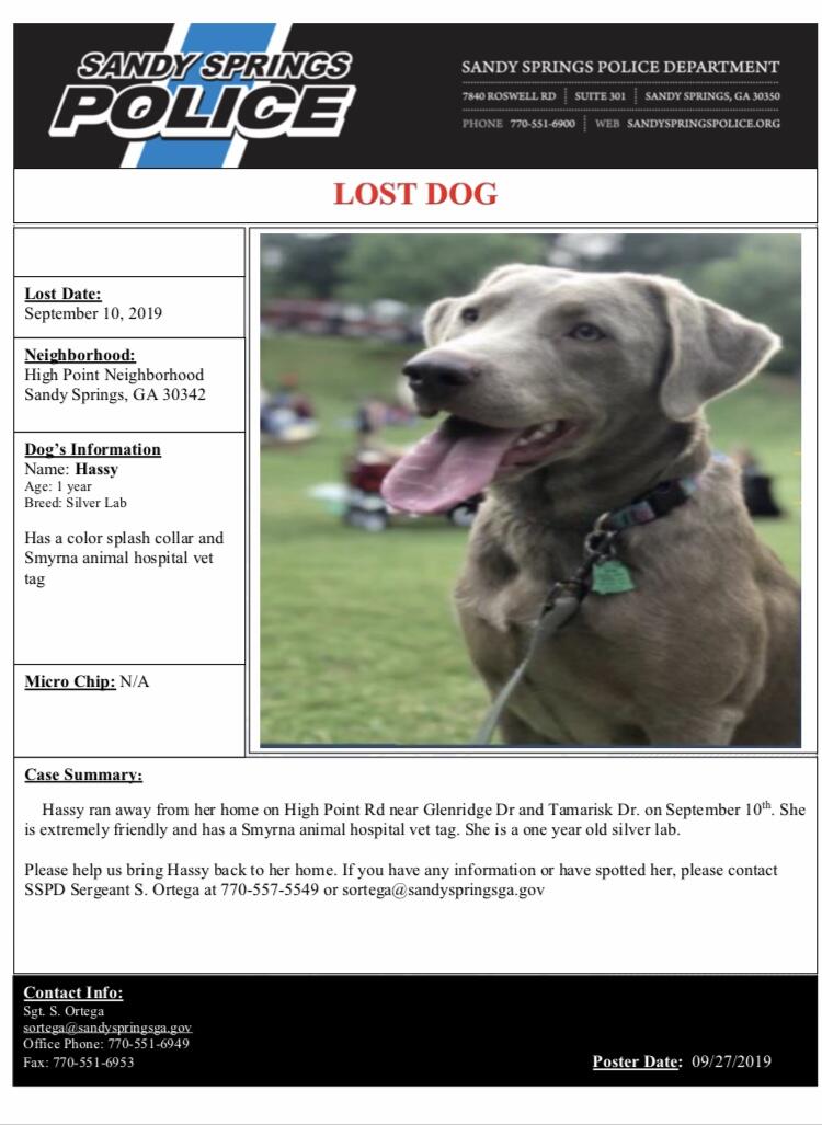 Please help us find a lost dog. (Sandy Springs Police Department) —  Nextdoor — Nextdoor