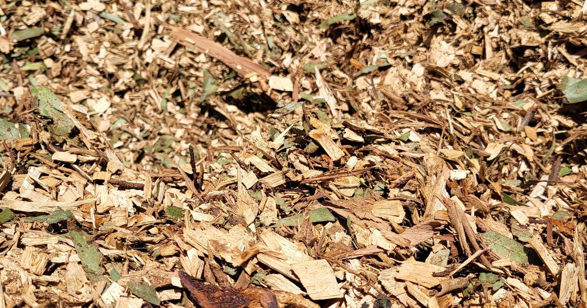 Eucalyptus Mulch for Free in Nipomo, CA | For Sale & Free — Nextdoor