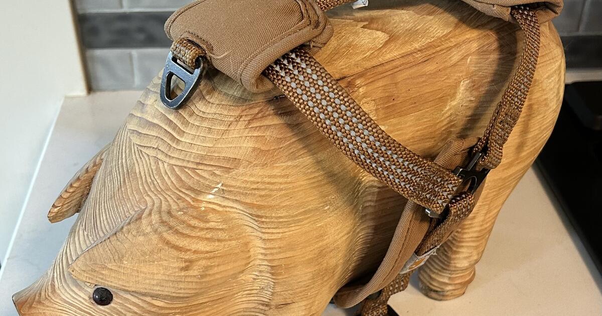 Carhartt Dog Harness (Size Small) for 20 in Portland, OR Finds