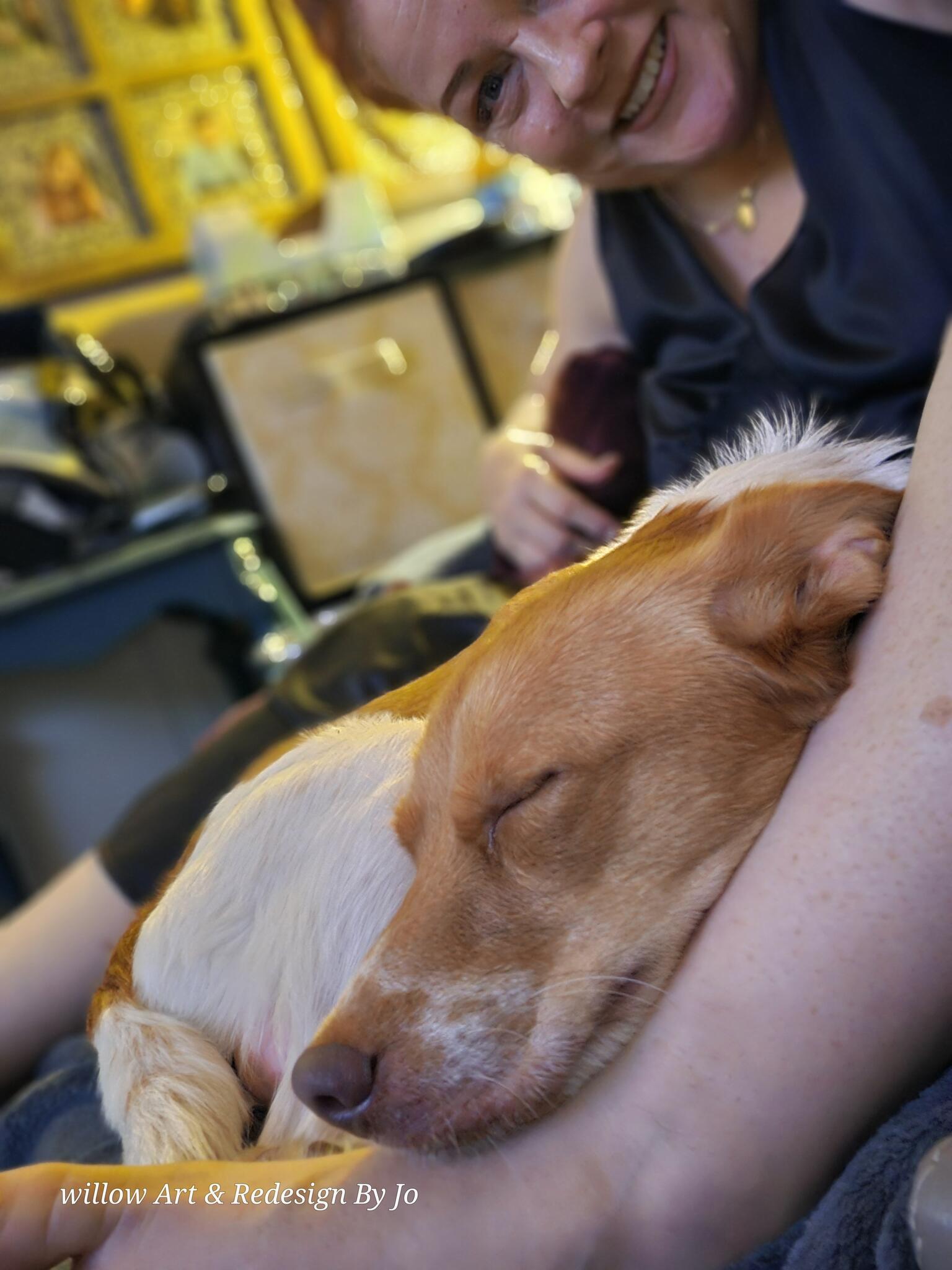 FREE Ashley Leather Reclining Sofa for Free in Crossville, TN For