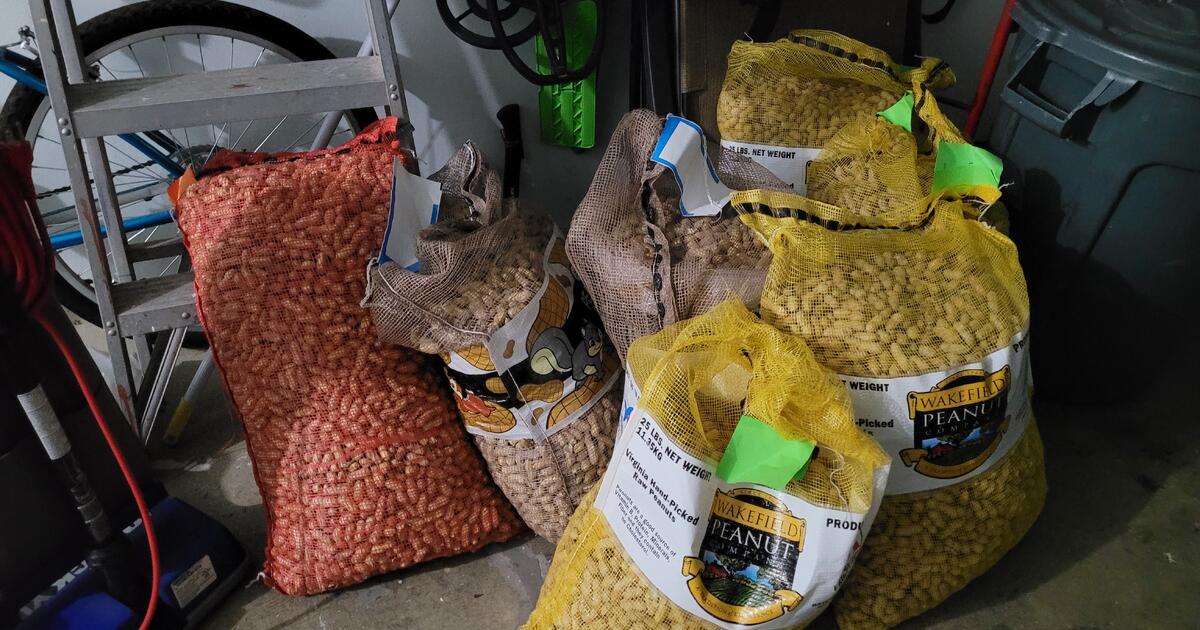 Unroasted peanuts in the shell for Free in Everett, WA Finds — Nextdoor