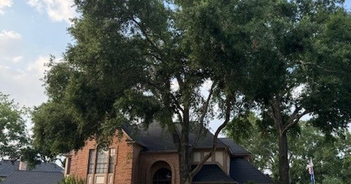 Nottingham Country HOME FOR SALE. in Katy, TX For Sale & Free — Nextdoor