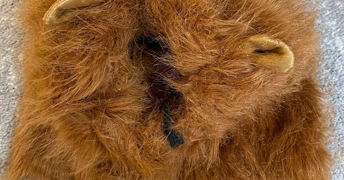 Large Dog Lion Costume for Free in Mesa, AZ For Sale & Free — Nextdoor