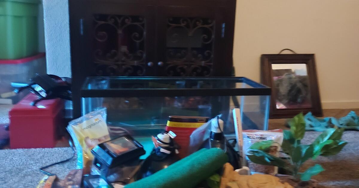 Lizard Aquarium plus everything you need for a lizard except food for
