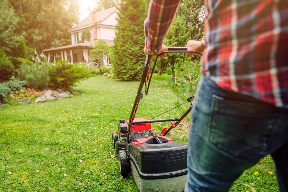 Greenlight Lawnmower Repair Nextdoor