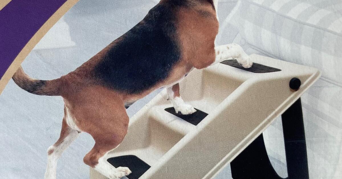 Doggy steps for 20 in Berkeley, CA For Sale & Free — Nextdoor