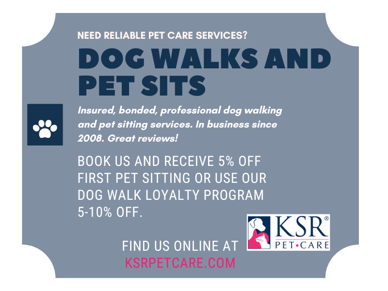 Loyalty Pet Care Dog Walking & Pet Sitting in Arlington to