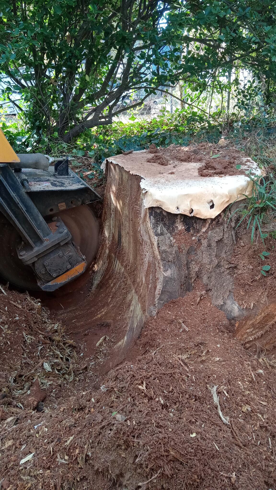 Stump Grinder for Free in Lawrenceville, GA For Sale & Free — Nextdoor