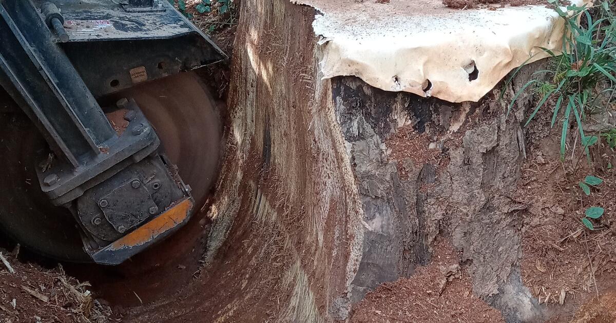 Stump Grinder for Free in Lawrenceville, GA For Sale & Free — Nextdoor