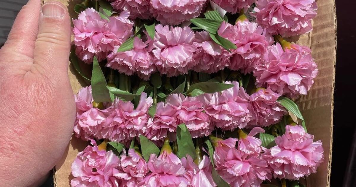 artificial pink carnations for 6 in Spokane, WA Finds — Nextdoor