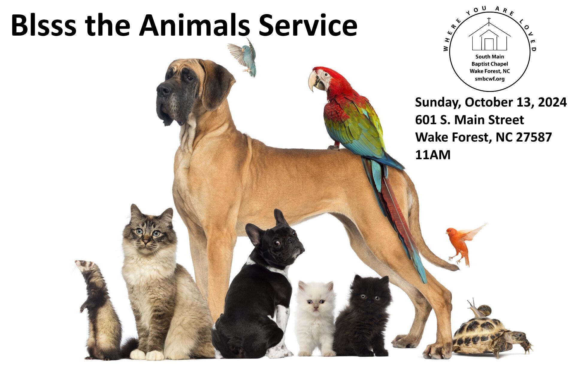 Bless the Animals Service