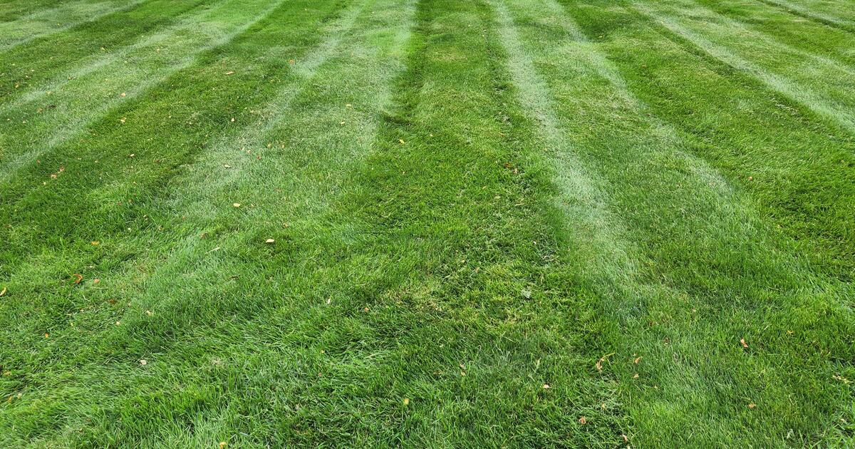 yoder-lawn-maintenance-llc-in-goshen-in-finds-nextdoor