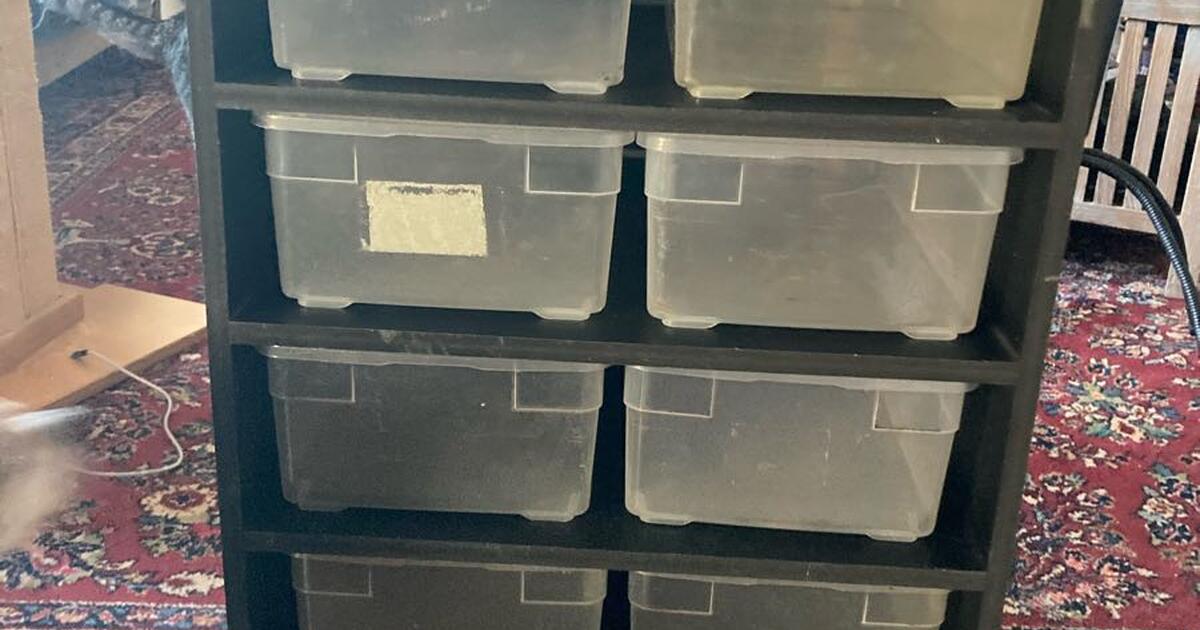 Large Ball Python Snake Rack