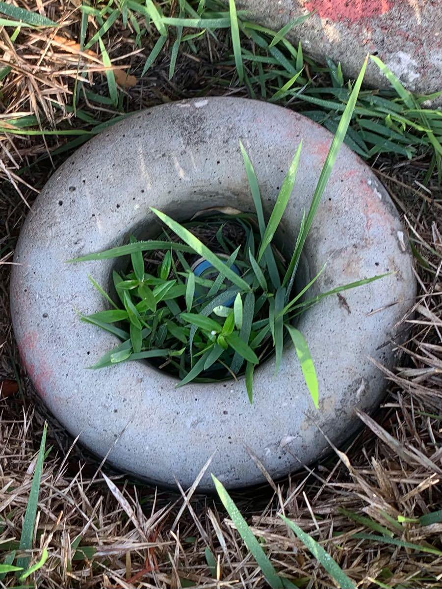 IRRIGATION Sprinkler weed blockers and donut installation for 1 in The