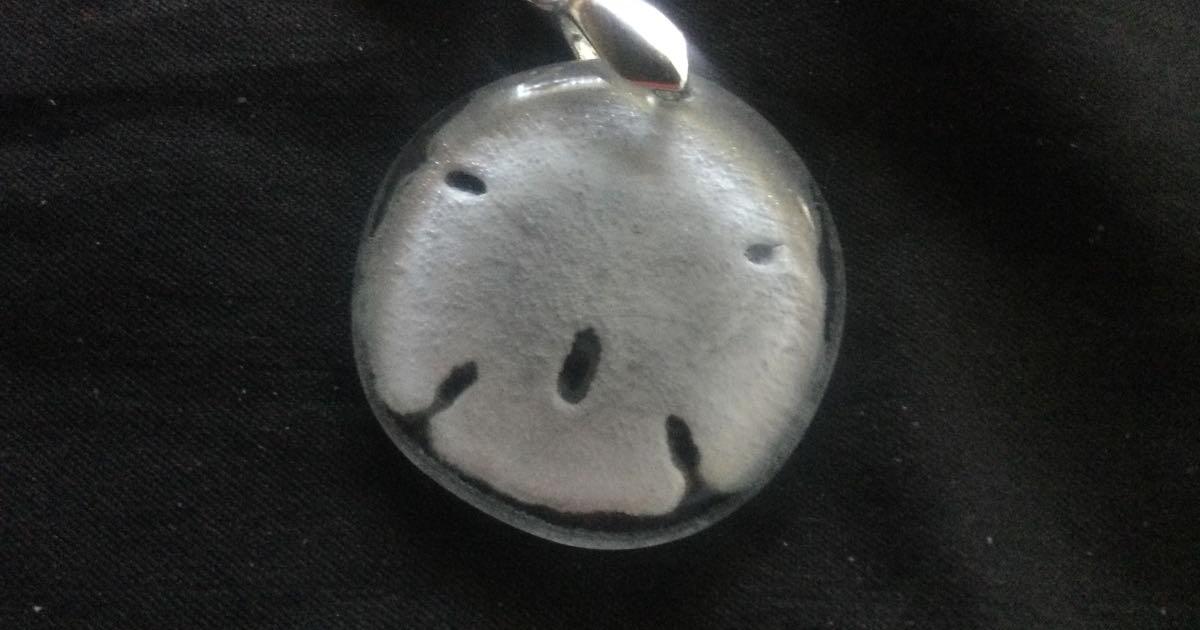 Real Florida sand dollars in glass for 35 in Destin, FL For Sale