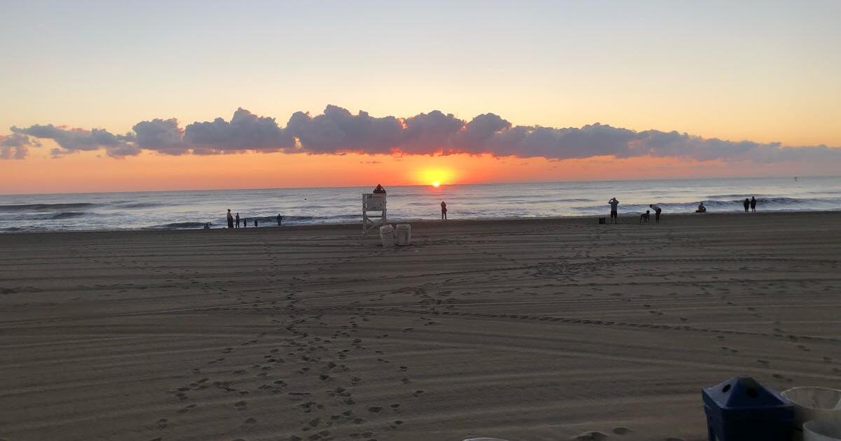 Room for rent. Monthly. Shadowlawn. 8 blocks to Oceanfront. for 850 in