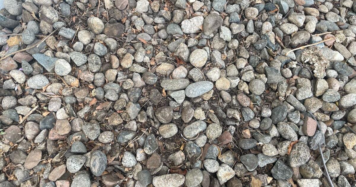 Free river rocks for landscaping for Free in Longmont, CO | For Sale ...