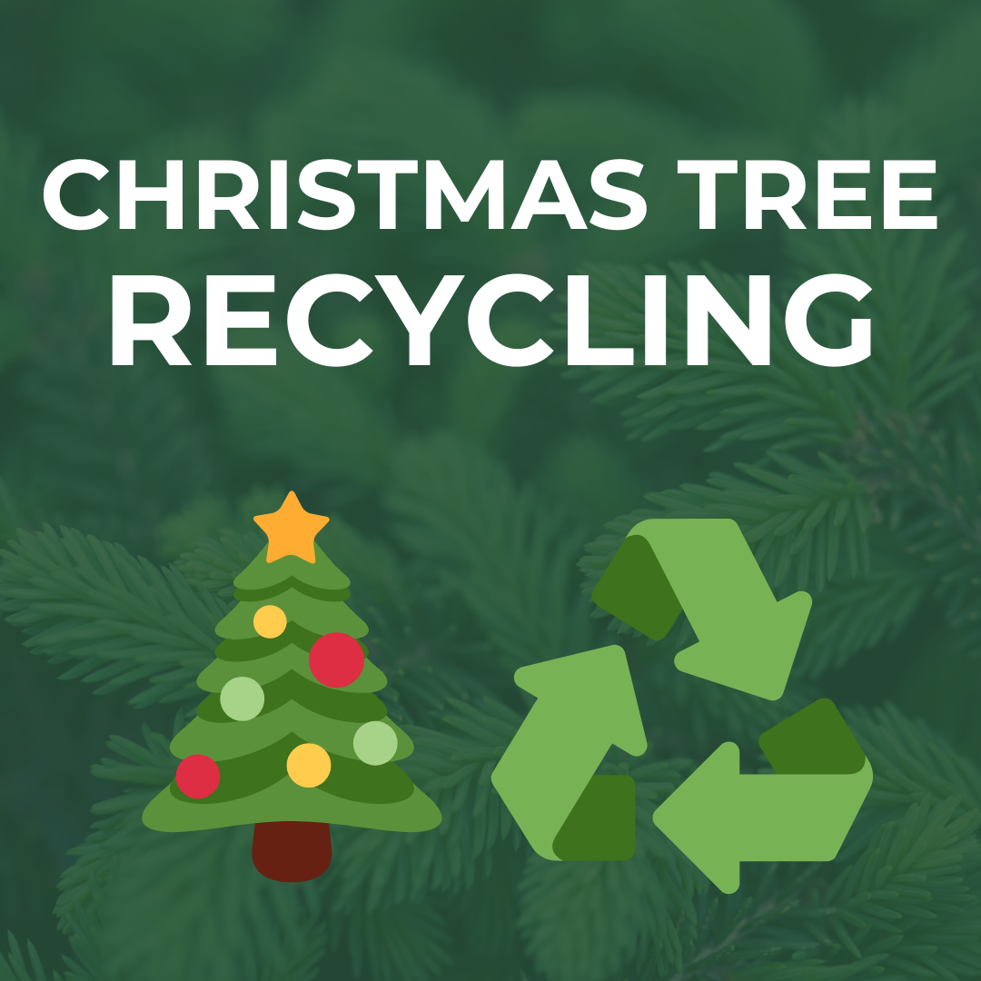 Free Christmas Tree Recycling at City Hall (City of Woodland Park