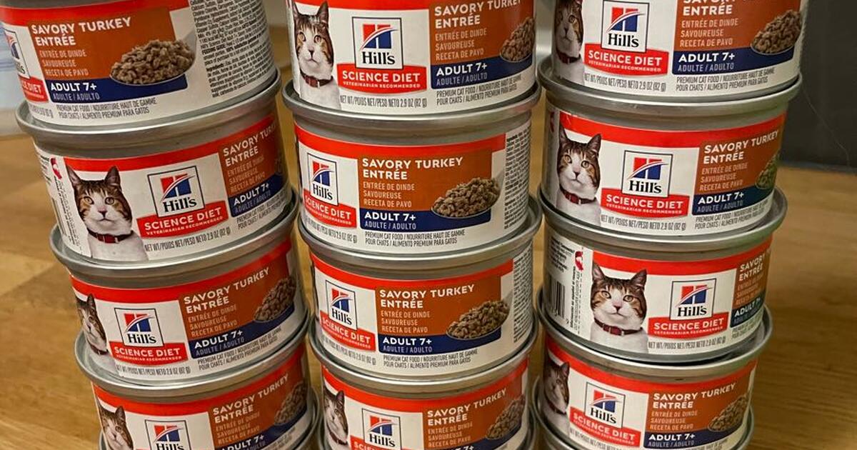 Hills Science Diet Cat Food (17 cans) for Free in Issaquah, WA For