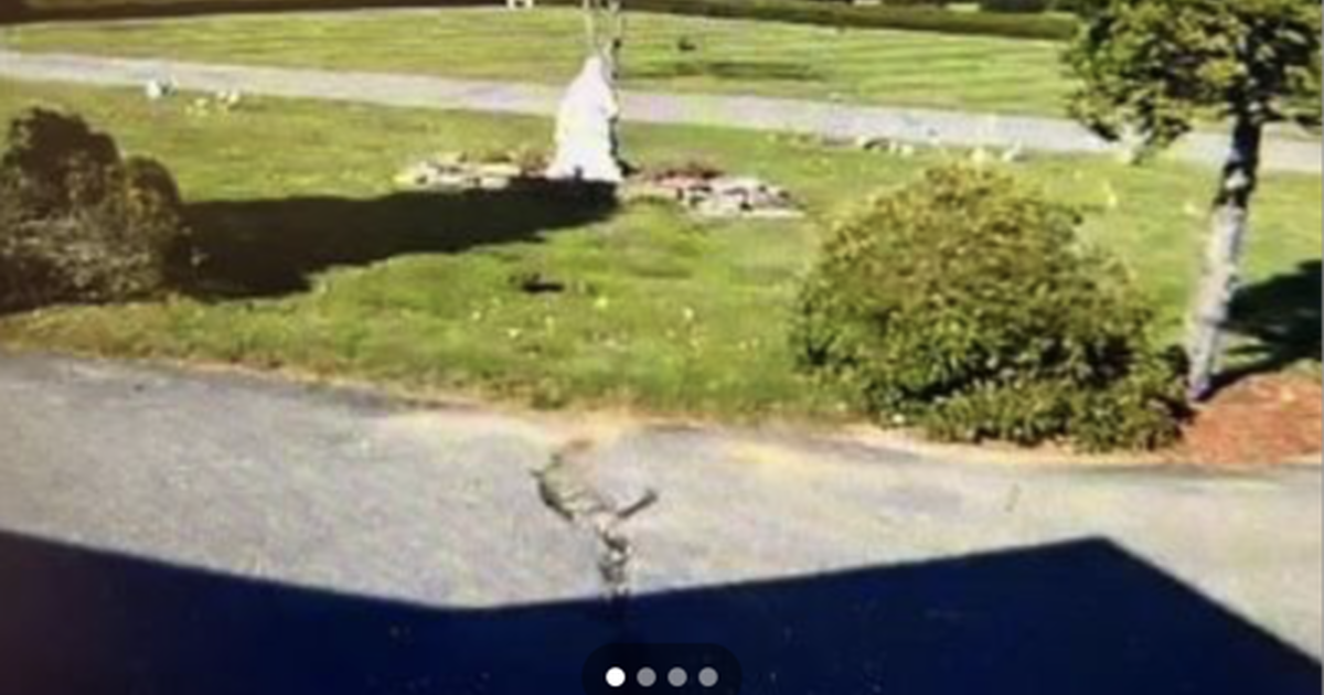 Two unselected Cemetary plots at Paxton County Memorial Park for 4000 in Worcester, MA Finds