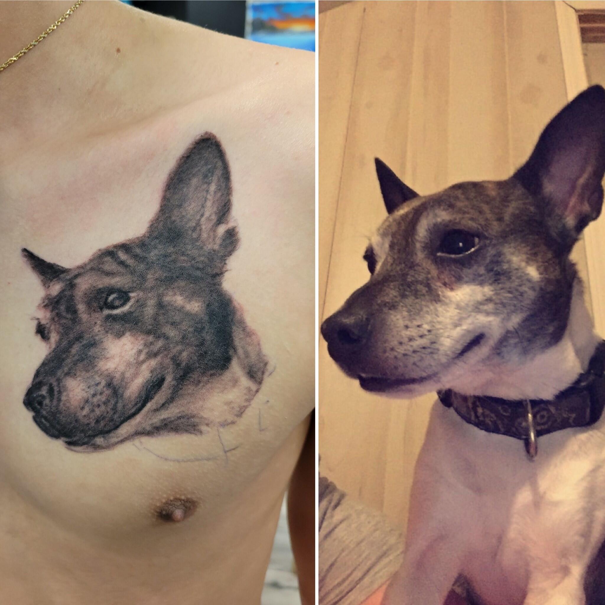7 Totally Weird But Normal Things That Happen To Tattoos