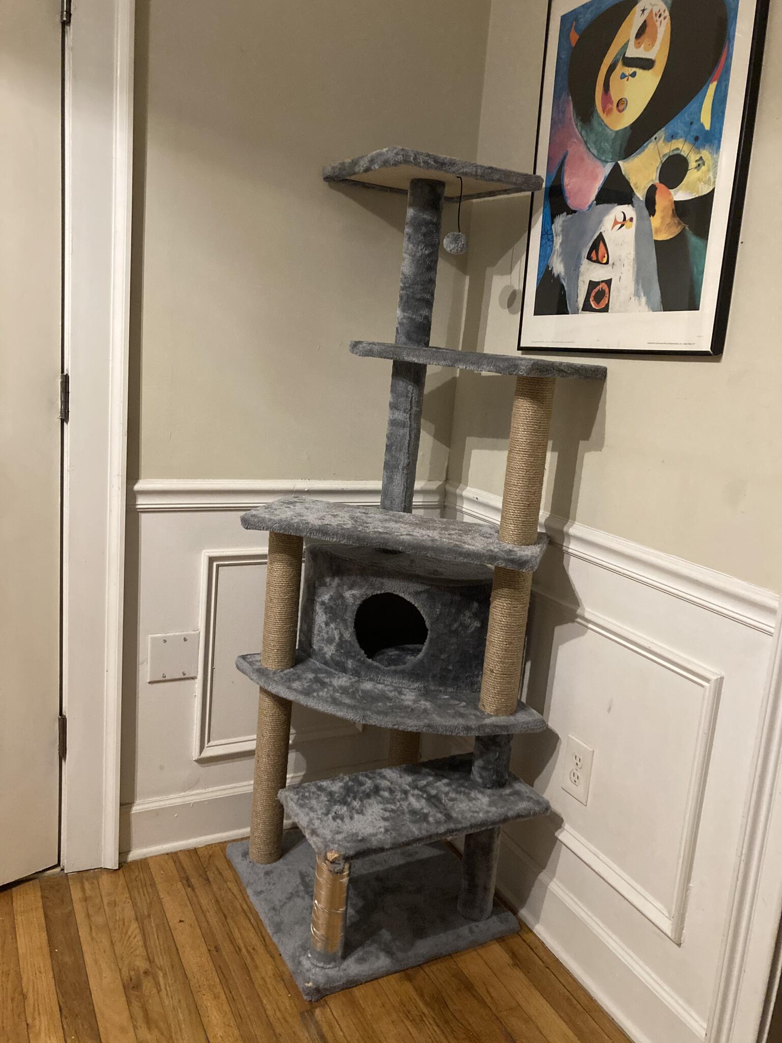 animaze cat tree condo