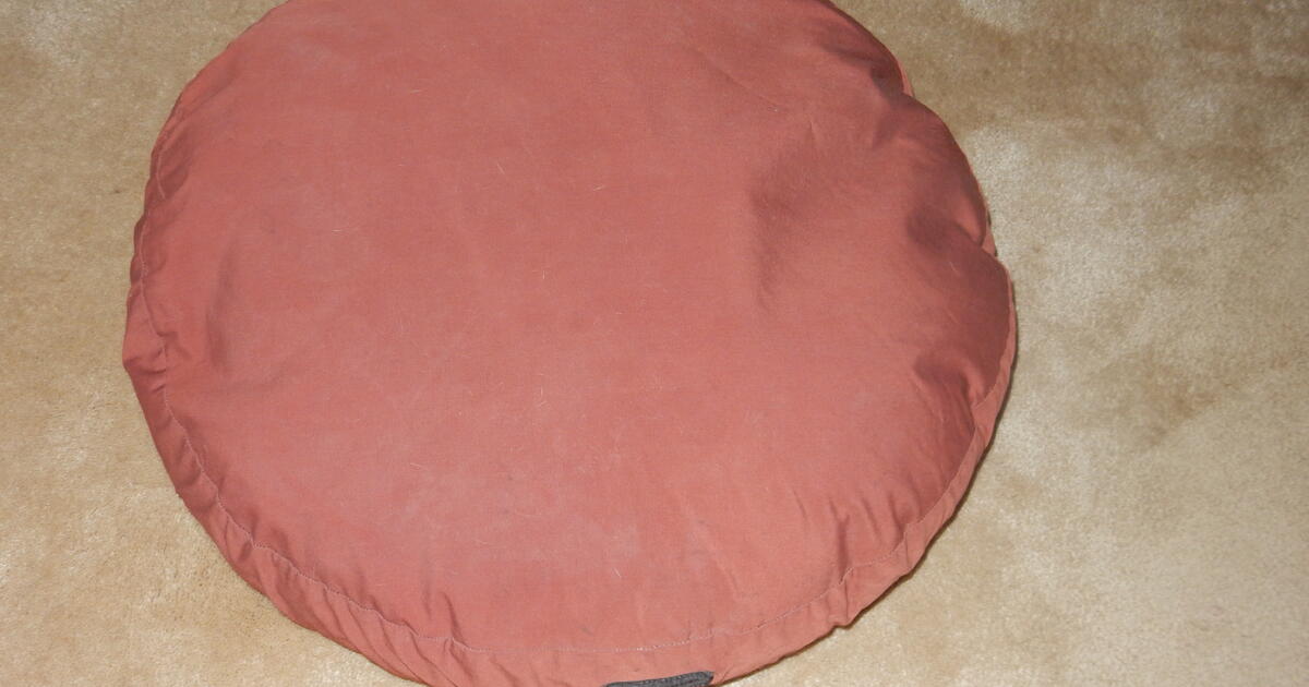 pet-bed-for-15-in-burlington-wi-for-sale-free-nextdoor
